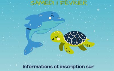 Coupe D’hiver Tortue et Dauphin