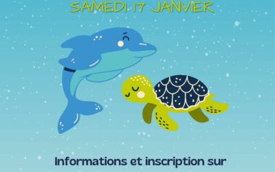 2ème coupe Tortue et Dauphin